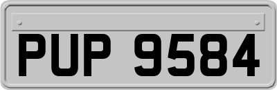 PUP9584