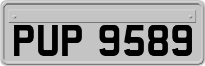 PUP9589