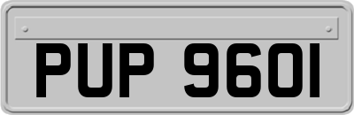 PUP9601