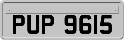 PUP9615