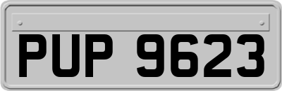 PUP9623
