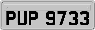 PUP9733