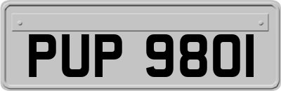 PUP9801