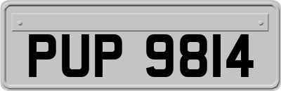 PUP9814