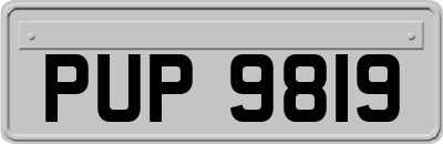 PUP9819