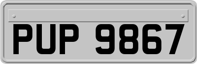 PUP9867