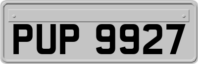 PUP9927