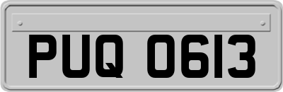 PUQ0613