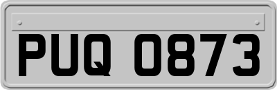 PUQ0873