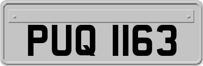PUQ1163