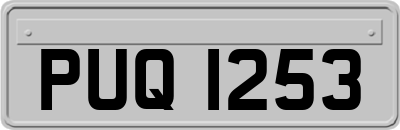 PUQ1253