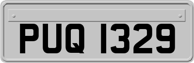 PUQ1329