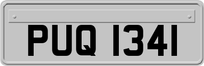 PUQ1341