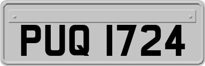 PUQ1724