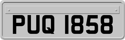 PUQ1858