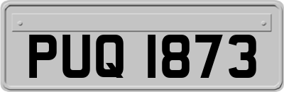 PUQ1873