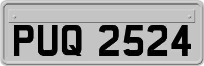 PUQ2524