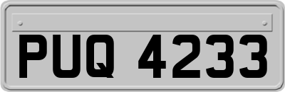 PUQ4233