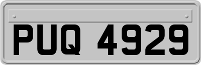 PUQ4929