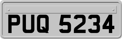 PUQ5234