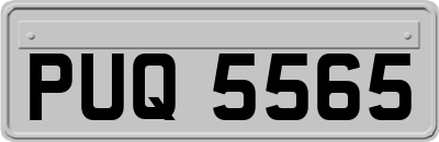 PUQ5565