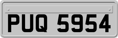 PUQ5954