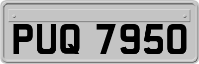 PUQ7950