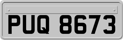 PUQ8673