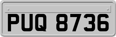 PUQ8736