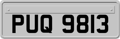 PUQ9813