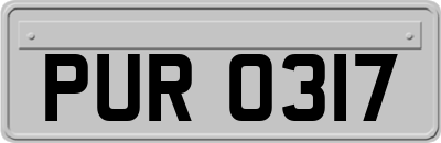 PUR0317
