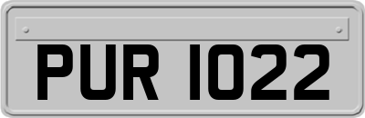 PUR1022