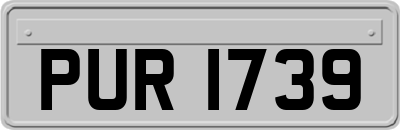 PUR1739