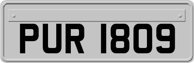 PUR1809