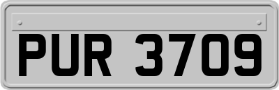 PUR3709