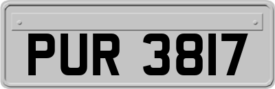 PUR3817