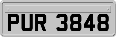 PUR3848