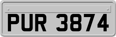 PUR3874