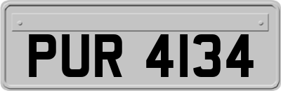 PUR4134