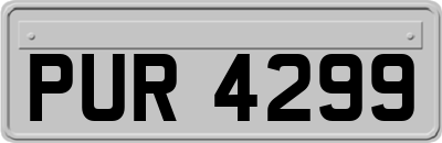 PUR4299