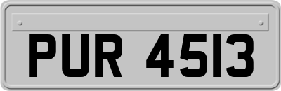PUR4513