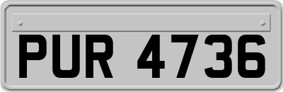 PUR4736