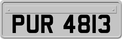 PUR4813