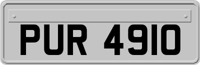 PUR4910