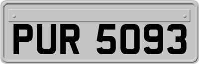 PUR5093