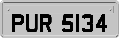 PUR5134
