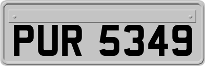 PUR5349