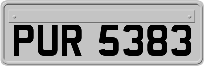 PUR5383