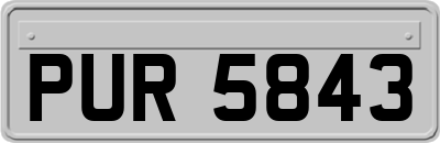 PUR5843