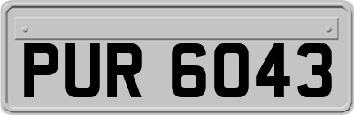 PUR6043
